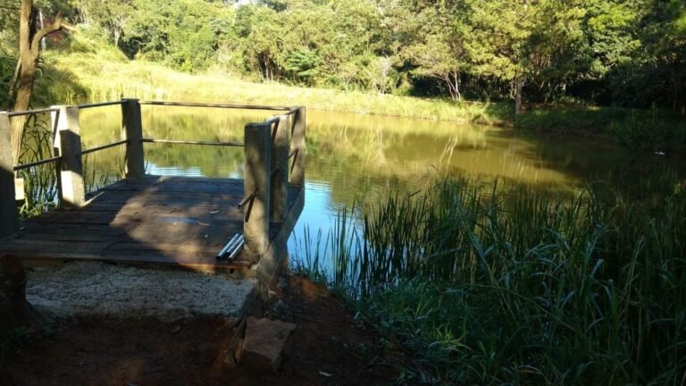 sp-mairinque-dona-catarina-praca-da-igreja-chacara-sitio-a-venda-3-s-68017fbf-02