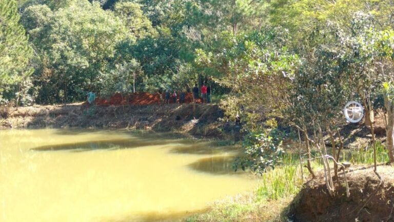 sp-mairinque-dona-catarina-praca-da-igreja-chacara-sitio-a-venda-3-s-68017fbf-14