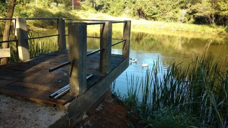 sp-mairinque-dona-catarina-praca-da-igreja-chacara-sitio-a-venda-3-s-68017fbf-16