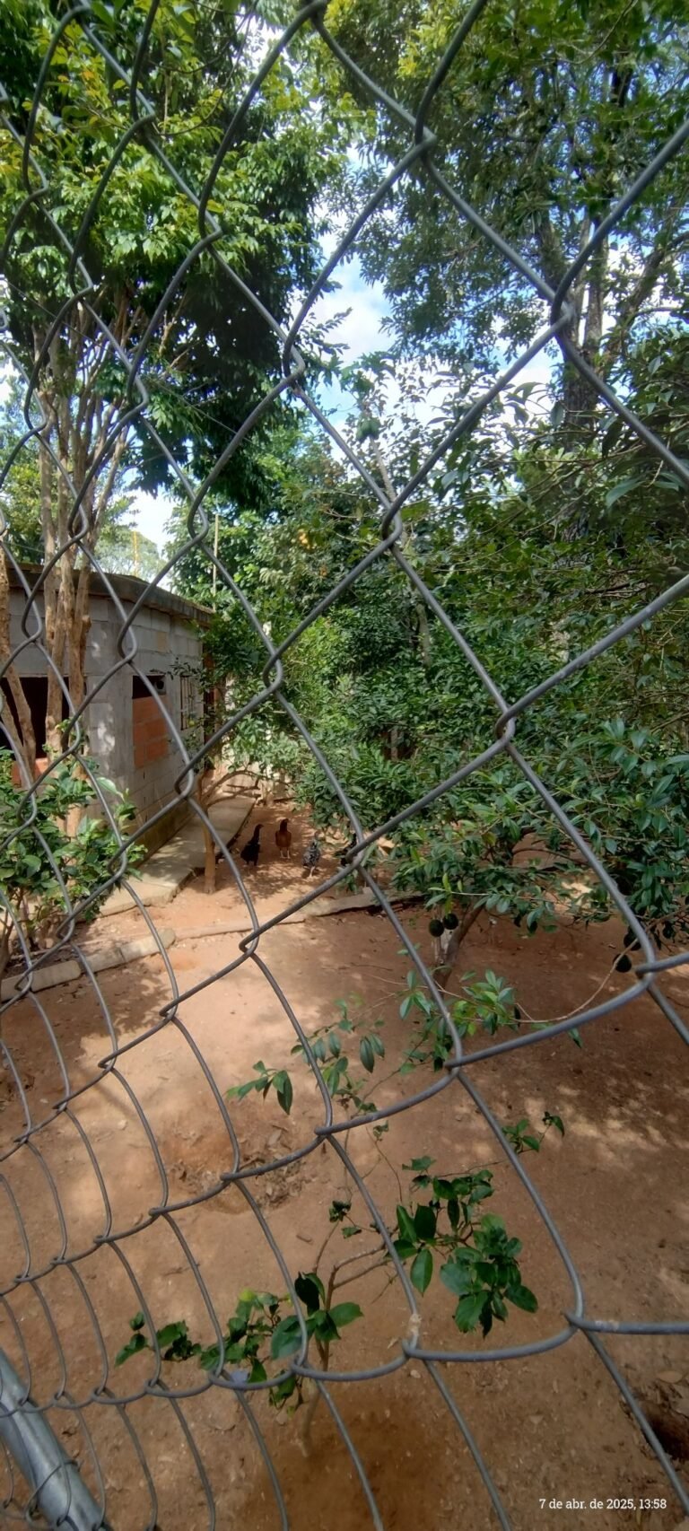 sp-mairinque-dona-catarina-praca-da-igreja-chacara-sitio-a-venda-3-s-68017fbf-22