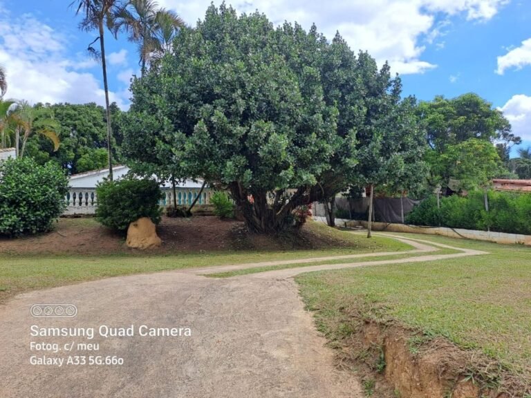 sp-mairinque-dona-catarina-praca-da-igreja-chacara-sitio-a-venda-3-s-684c6524-21