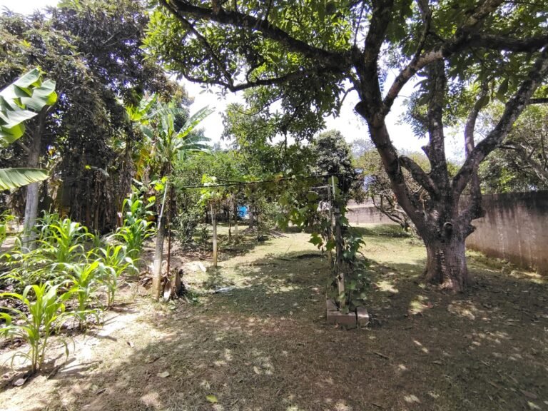 Imagem do WhatsApp de 2025-08-06 à(s) 14.44.57_7f385486