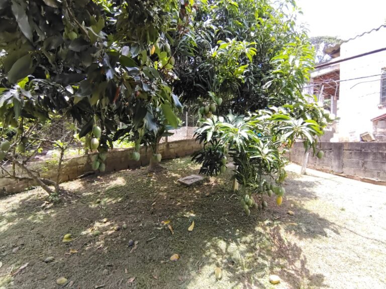 Imagem do WhatsApp de 2025-08-06 à(s) 14.44.57_9799fb00