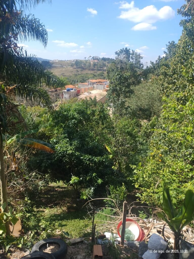 Imagem do WhatsApp de 2025-08-12 à(s) 09.27.04_f8f6081a