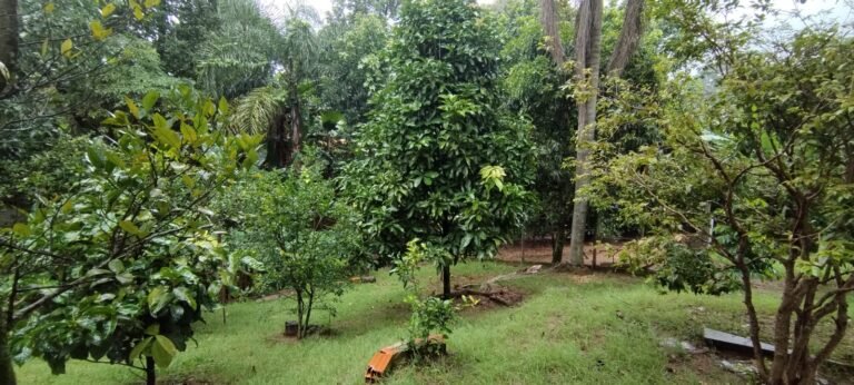 WhatsApp Image 2025-08-14 at 14.53.30 (1)